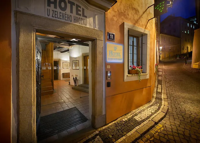 Hotel At the Green Grape Praag